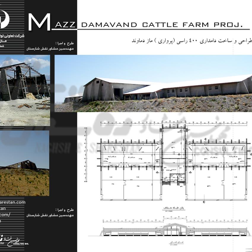 طراحی و ساخت دامداری 400 راسی ماز دماوند